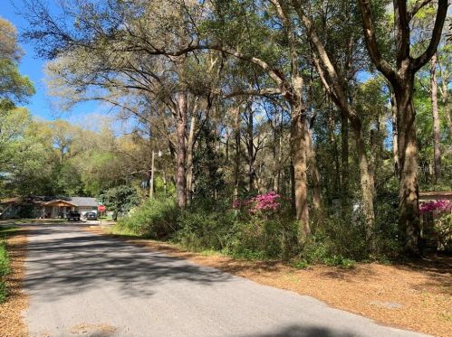 4555 136th St, Summerfield, FL 34491-7347