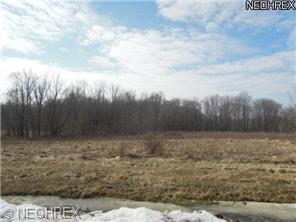10651 Oakview Dr, Beloit, OH 44609-9298