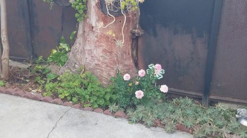 2116 Oris St, Compton CA 90222-3055 exterior