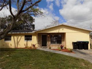 10309 Loubet St, Orlando, FL 32817-4309