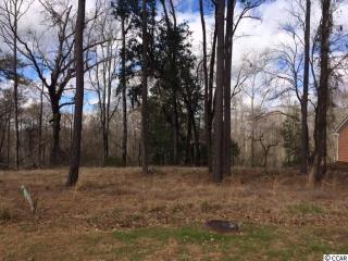 242 Rivers Edge Dr, Conway, SC 29526-7571