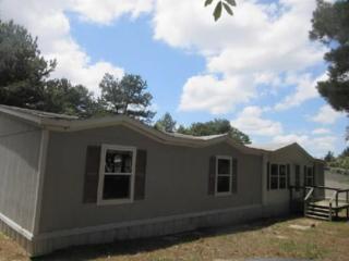 17361 Aspenwood, Hide A Way, TX 75771-4815