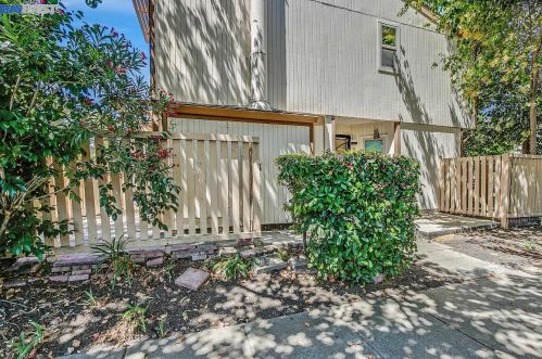 803 Climbing Rose Ct, Hayward, CA 94544-5747