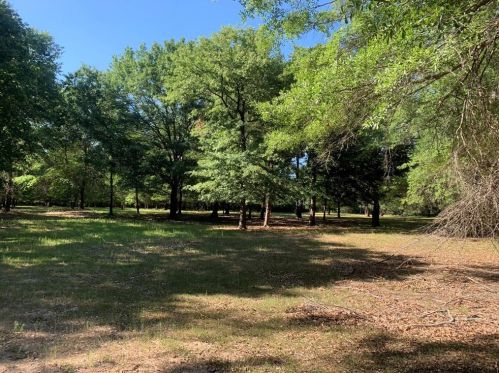 219 Private Road 209, Telephone, TX 75488-5839
