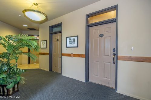 446 Campbell Ave, Tucson AZ  85719-5660 exterior