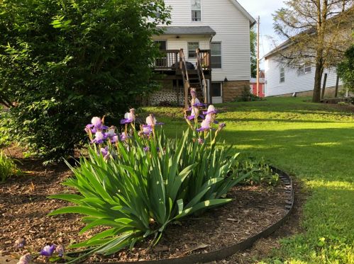 118 Sugartree St, Wilmington, OH 45177-2333