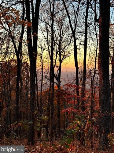 185 Baptist Ln, Linden VA  22642-5660 exterior