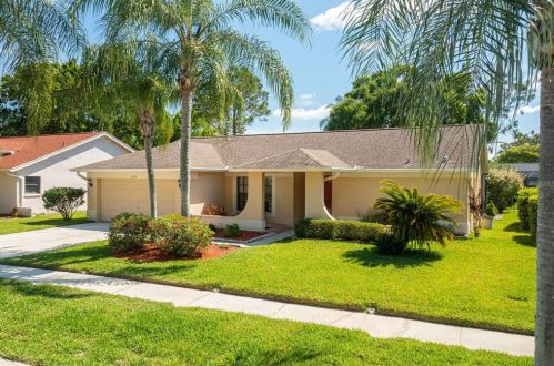 3259 Glenridge Dr, Palm Harbor, FL 34685-1726