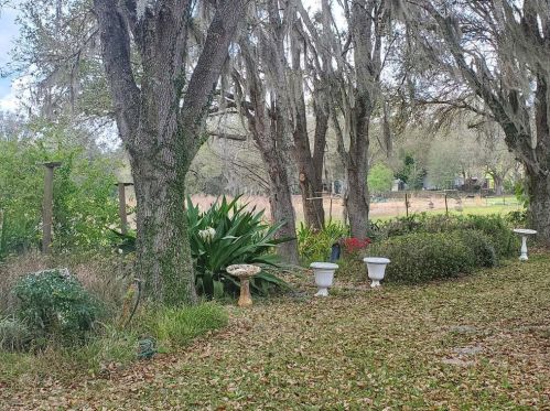 7754 Cr 248b, Lake Panasoffkee FL  33538-3020 exterior