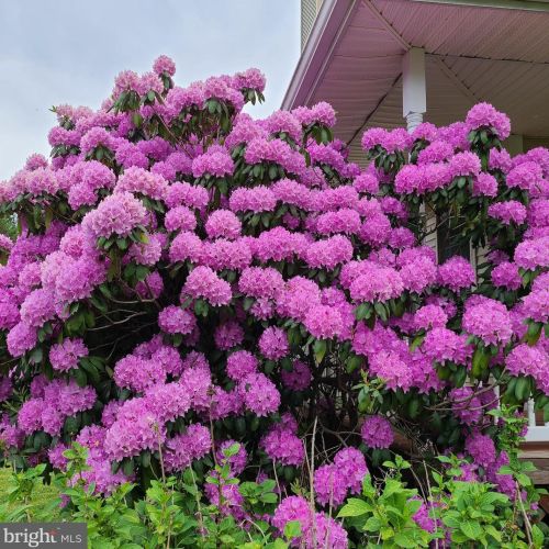 1139 Wilson Ave, Glen Mills PA  19342-9610 exterior