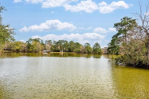 17624 White Perch Lake Dr, Conroe, TX 77384-4258