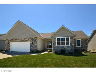 300 Granger Dr, Lagrange, OH 44050-8916