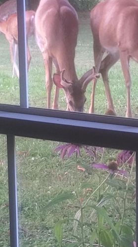 26718 Armstrong Rd, Laurelville OH  43135-9716 exterior