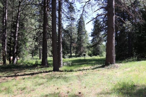 6244 Tiger Ln, Virner, CA 95634-9670