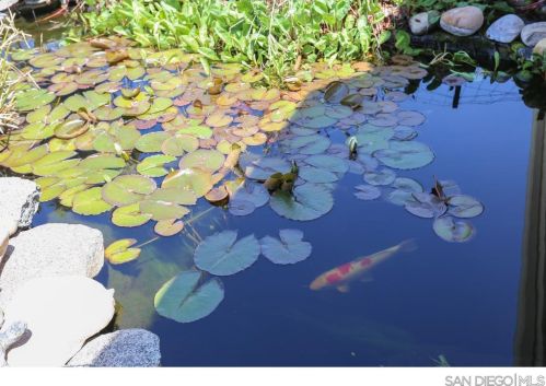 1529 Montecito Vis, Alpine CA  91901-2317 exterior