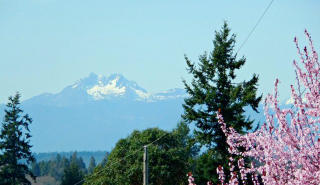 3001 Halverson Ave, Bremerton, WA 98310-3414