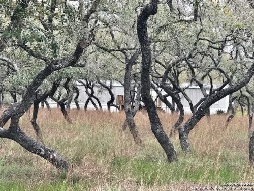 165 County Road 7727, Natalia, TX 78059-2049