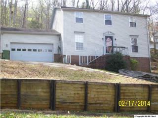 12013 Chimney Hollow Trl, Huntsville, AL 35803-2448