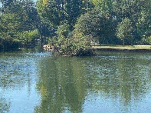 413 Turner Rd, Lodi CA  95240-0530 exterior