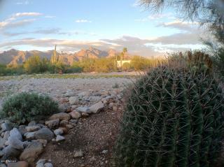 6207 Canyon Dr, Tucson, AZ 85704-6005