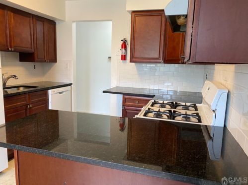 1505 Green Hollow Dr, Iselin NJ  08830-2946 exterior