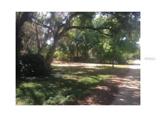 21 Tubb St, Oakland, FL 34760-8929