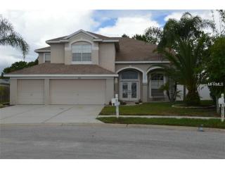 2701 Coldstone Ln, Tarpon Springs, FL 34691-8775