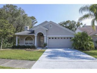 420 Cypress View Dr, Oldsmar, FL 34677-4631