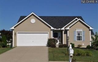6415 Rubystone Ln, Medina OH  44256-5539 exterior