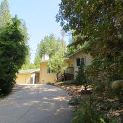 17464 Canyon View Ct, Pioneer, CA 95666-9596
