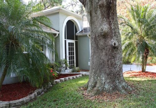 3346 Castle Rock Cir, Land O Lakes, FL 34639-5589