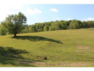 360 Johnson Cemetery Rd, Blountville, TN 37617-3723