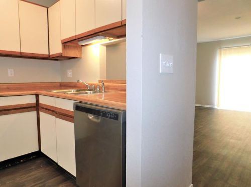 744 Collins St, Denton TX  76201-7174 exterior