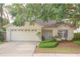 24720 Silversmith Dr, Lutz, FL 33559-3319