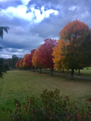 1027 West Rd, Norton Hill, NY 12083-3711