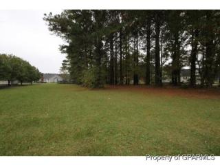 409 Hunters Creek Dr, Goldsboro, NC 27534-8307