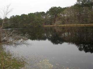6307 Old Jacksonboro Rd, Ravenel, SC 29470-5243