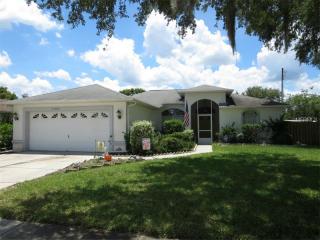 21702 Mims Way, Lutz, FL 33549-8750
