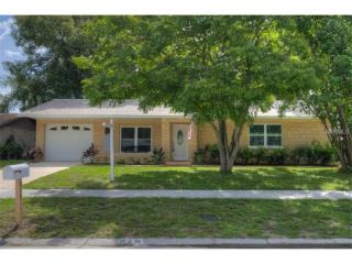 915 Chadsworth Ave, Seffner FL  33584-4611 exterior