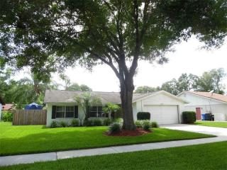 2615 Giant Pl, Seffner, FL 33584-5775
