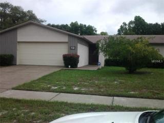 604 Ephrata Dr, Brandon, FL 33511-7907