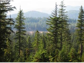 36206 Washougal River Rd, Washougal, WA 98671-8892
