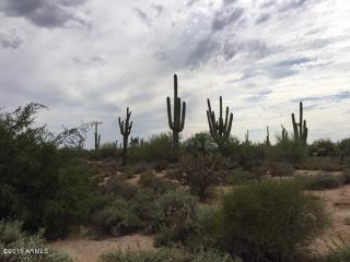 7981 Dixileta Dr, Scottsdale AZ  85266-2262 exterior