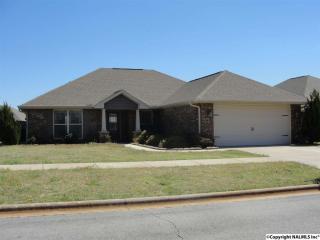 844 River Landing Blvd, Madison AL  35756-5609 exterior