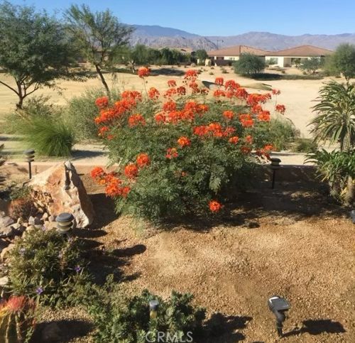 81243 Camino Lampazos, Indio CA 92203-4411 exterior