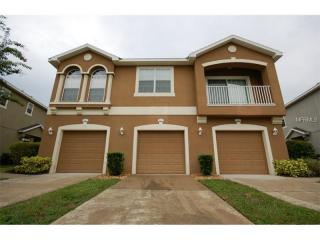 9003 Moonlit Meadows Loop, Riverview, FL 33578-8851