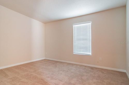 961 Aussi Ct, Tarpon Springs FL  34689 exterior