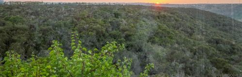 11278 Caminito Aclara, San Diego CA  92126-6101 exterior