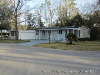 18022 Carrolwood Dr, Brooksville, FL 34604-9212