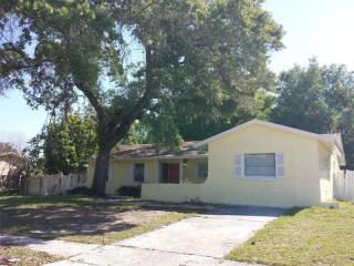 3707 Yosemite Dr, Orlando, FL 32818-2299